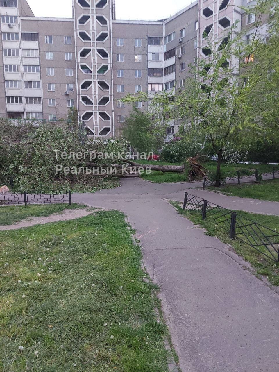 Из-за сильной грозы в Киеве и области пропал свет и повалились деревья.