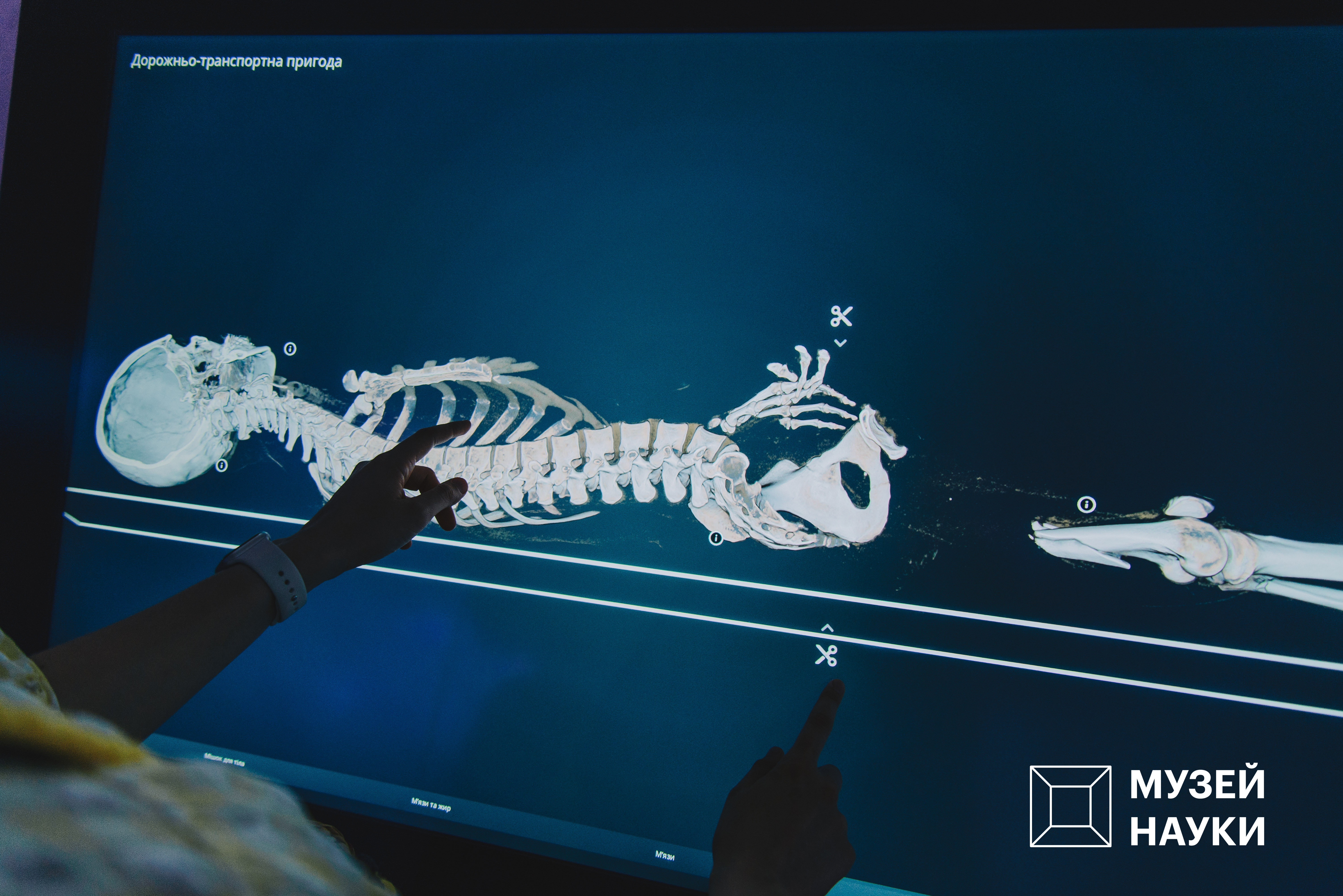 Фото: пресс-служба