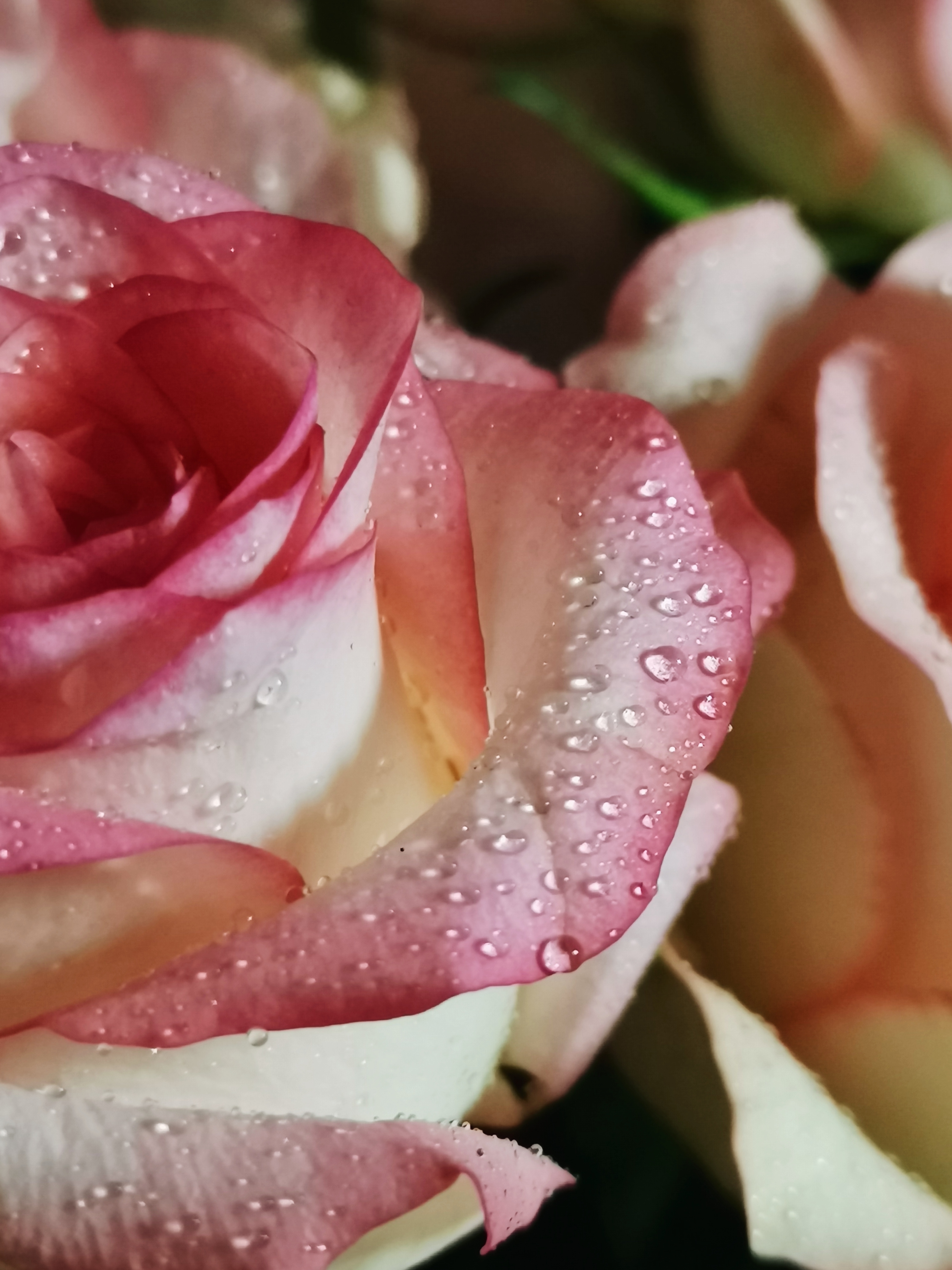 Фото зроблене на Huawei P40 lite