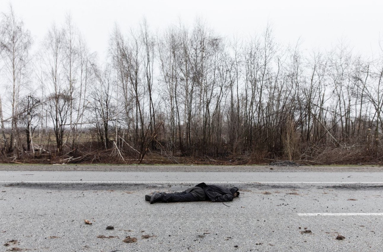 Тетерев - фото: Mikhail Palinchak / Reuters 