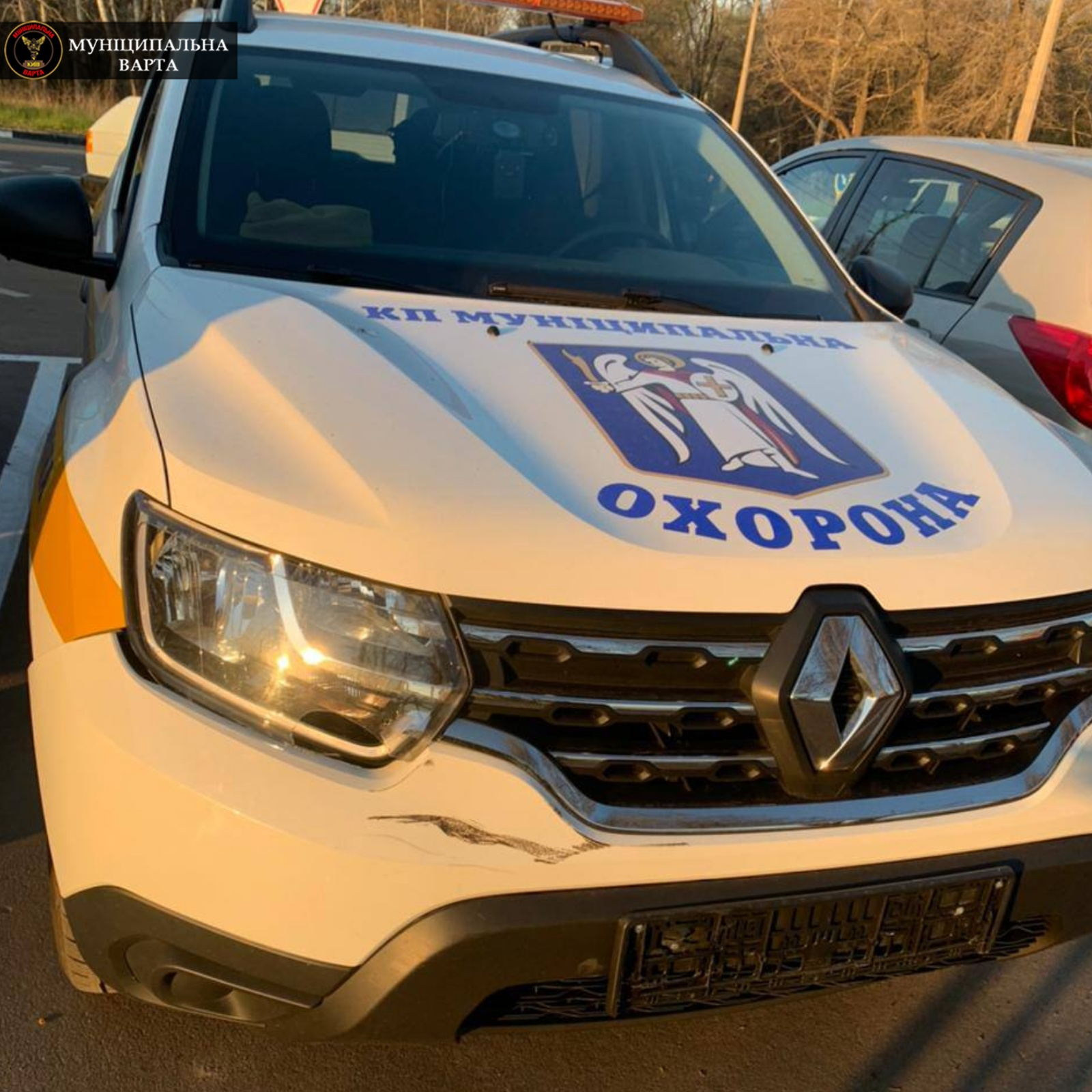 Так себе ралли: на Трухановом пьяные гонщики на квадроциклах врезались в патрульных фото 1