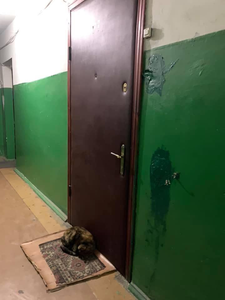 Фото: dtp.kiev.ua