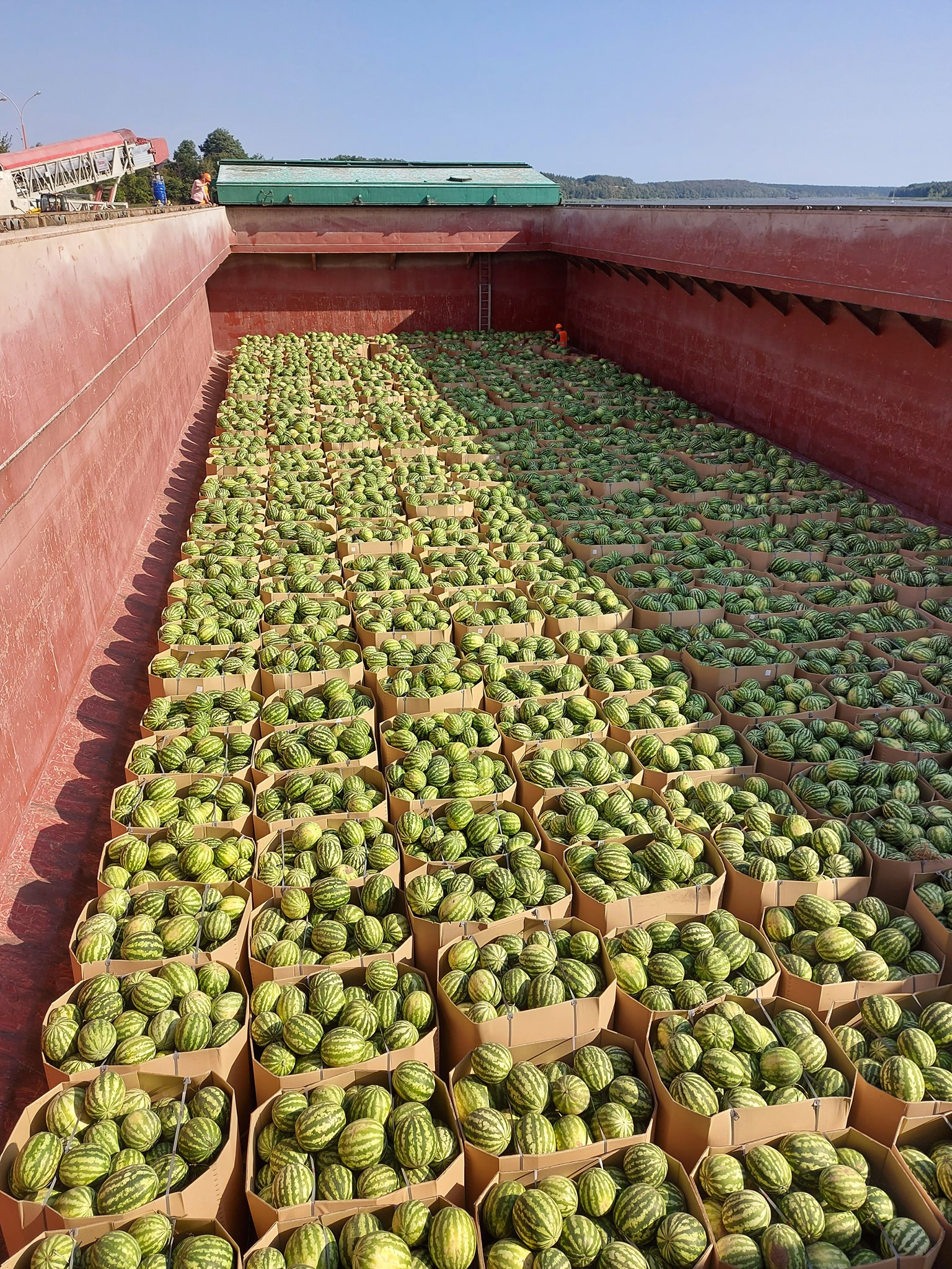 Фото: ТОВ СП "Нібулон"