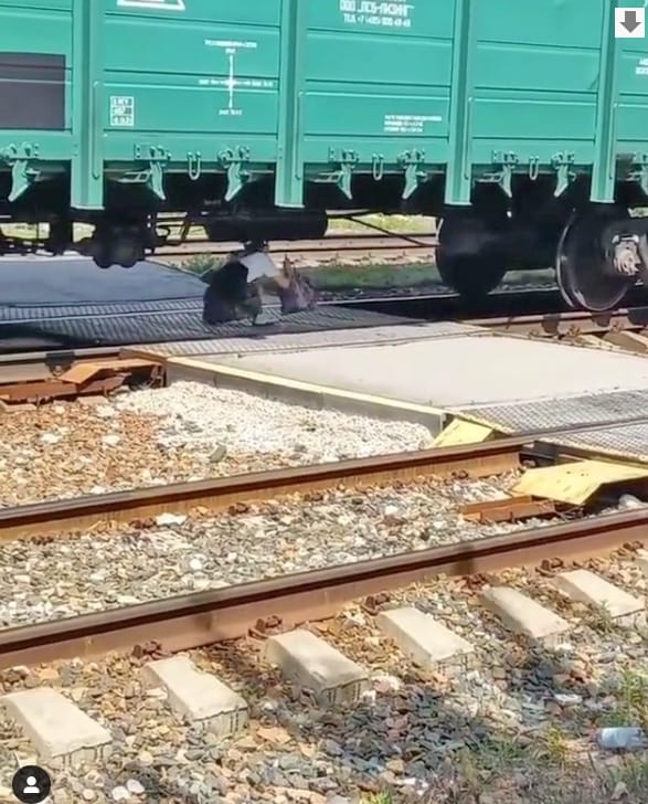 От безысходности: под Киевом люди лезли под грузовым поездом, чтобы успеть на электричку фото 1