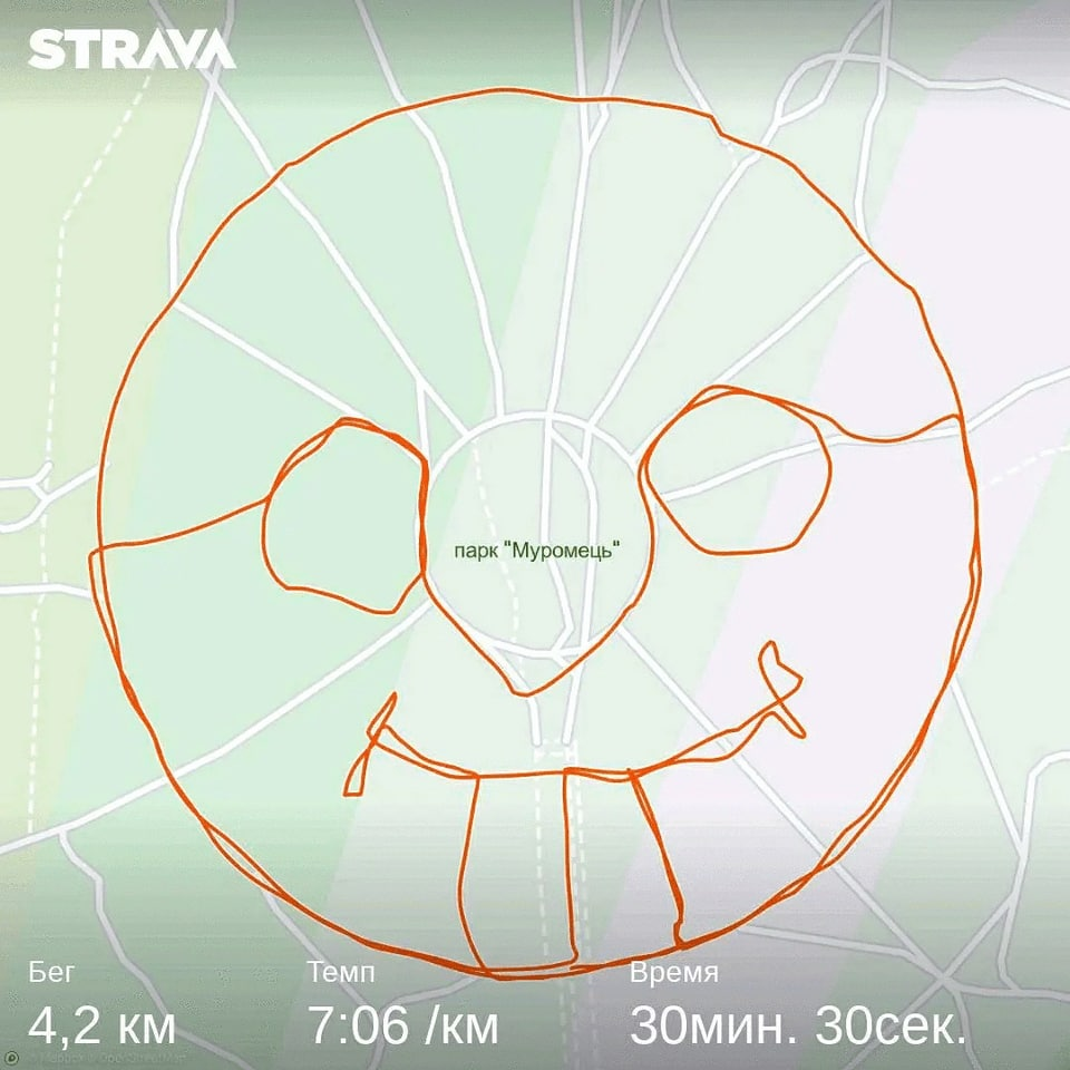 Рисунок, который пробежал Всеволод в день регистрации рекорда