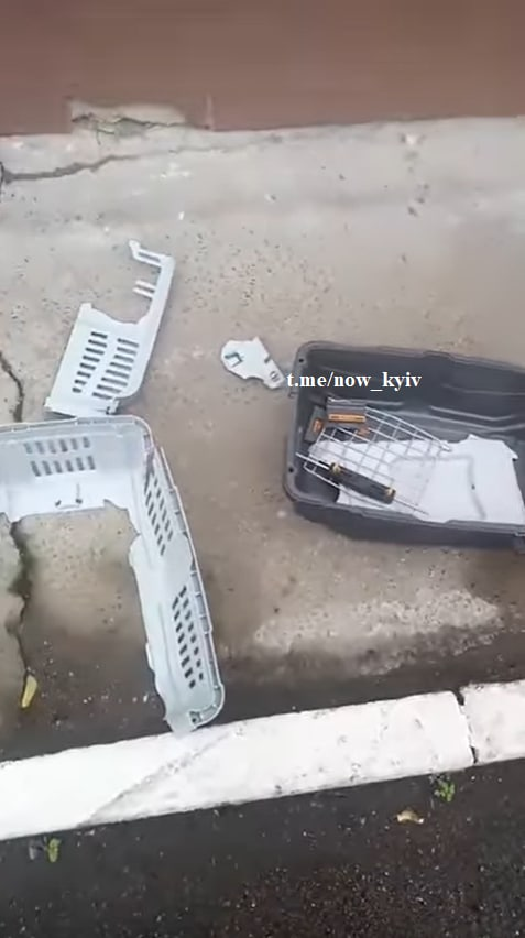 "Владыка не разрешил": священник из Лавры запретил волонтерам стерилизовать кошек фото 1