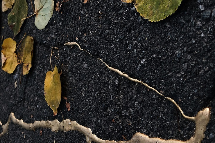 "Красота несовершенна": киевский скульптор заливает позолотой трещины в асфальте фото 1