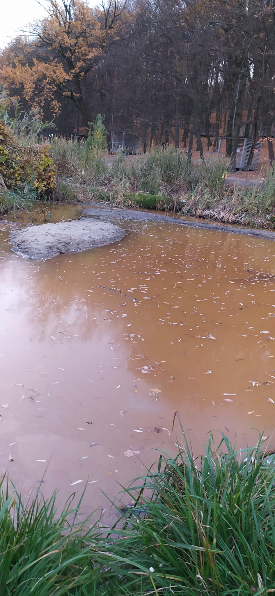 Фото: facebook "Сусіди Голосіїв"