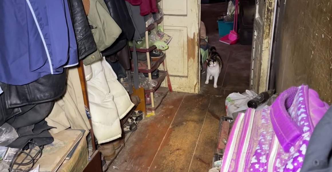 Фото: youtube/Супер Сус