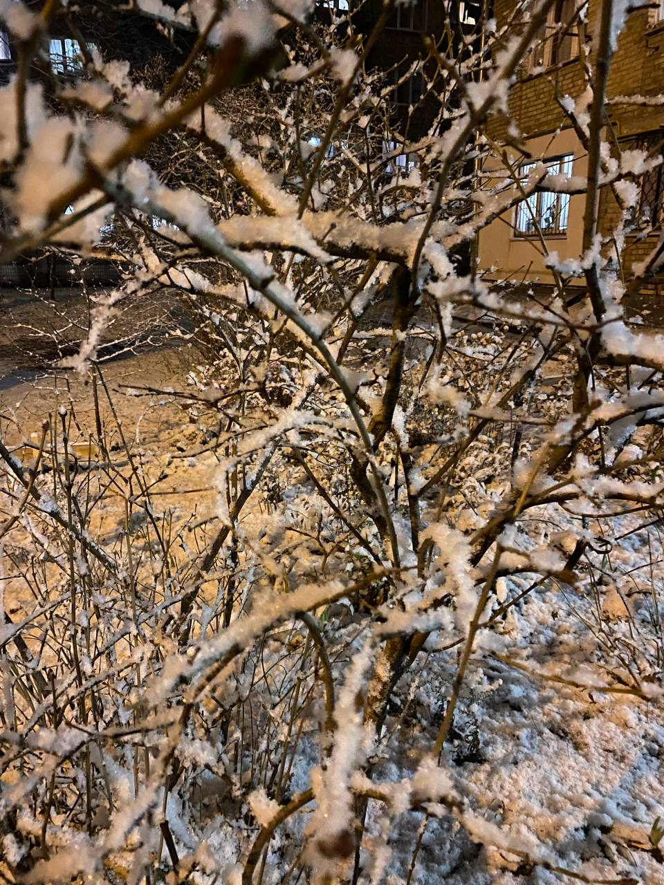 Telegram: @zaramenskikh_k