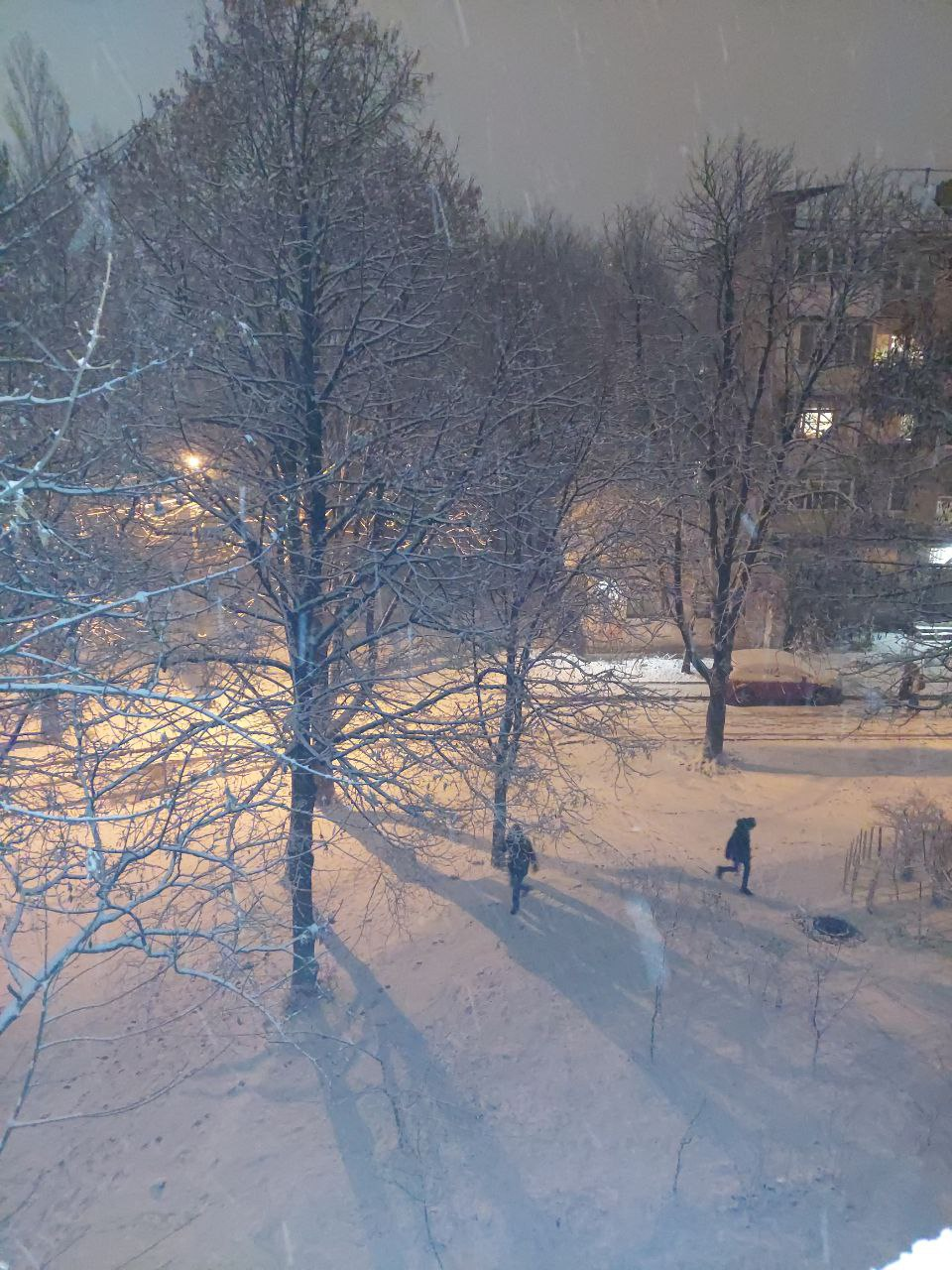 Telegram: Гостева Тамара