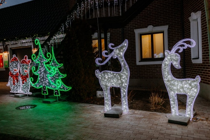 3D-фигуры в "Добропарке".