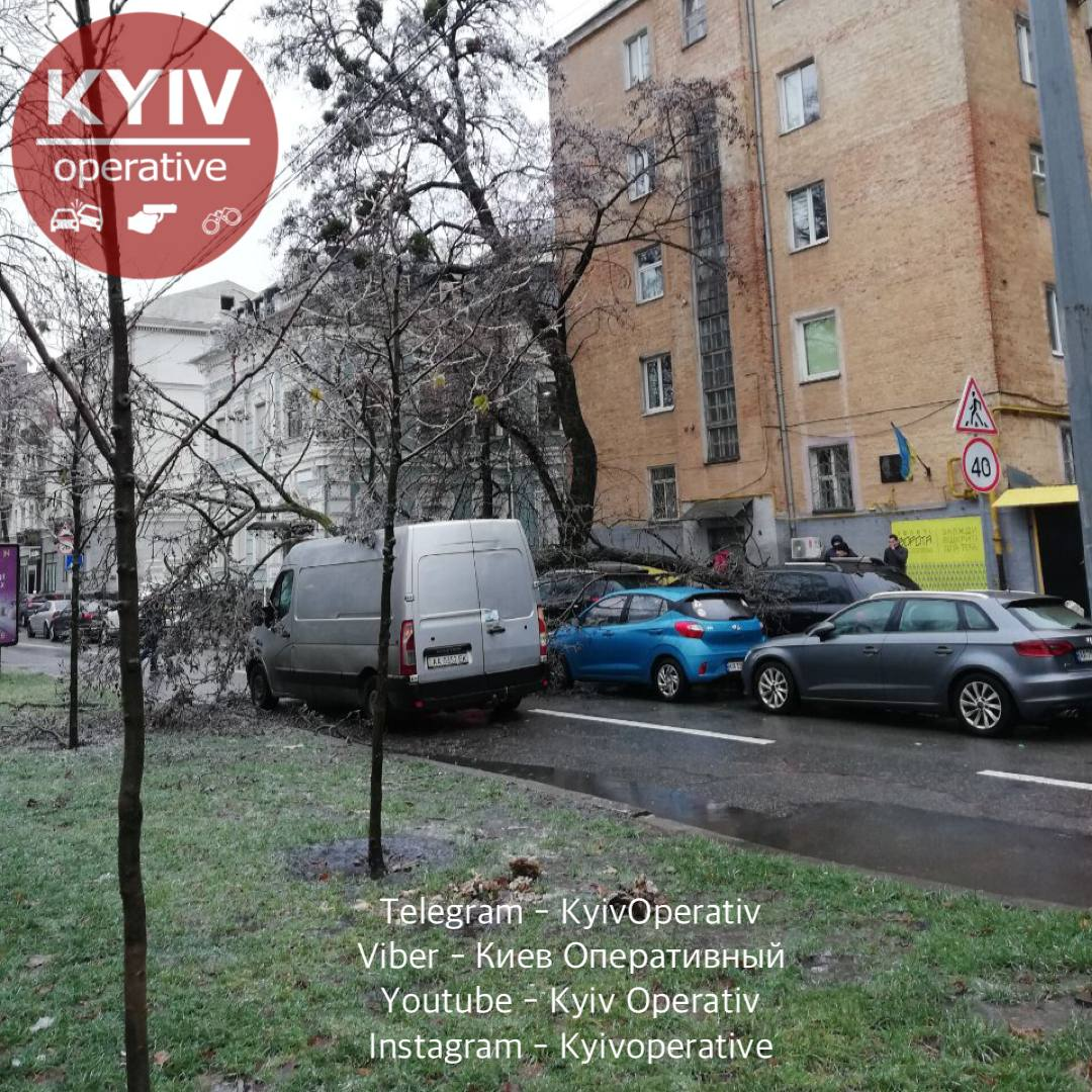 На Липской дерево упало на микроавтобус. || Фото: t.me/kyivoperativ