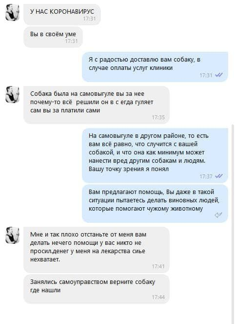 Переписка с хозяйкой собаки.