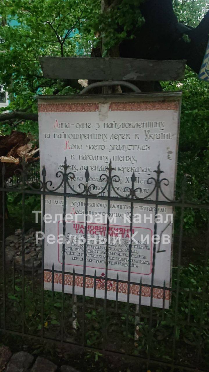 Из-за сильной грозы в Киеве и области пропал свет и повалились деревья.