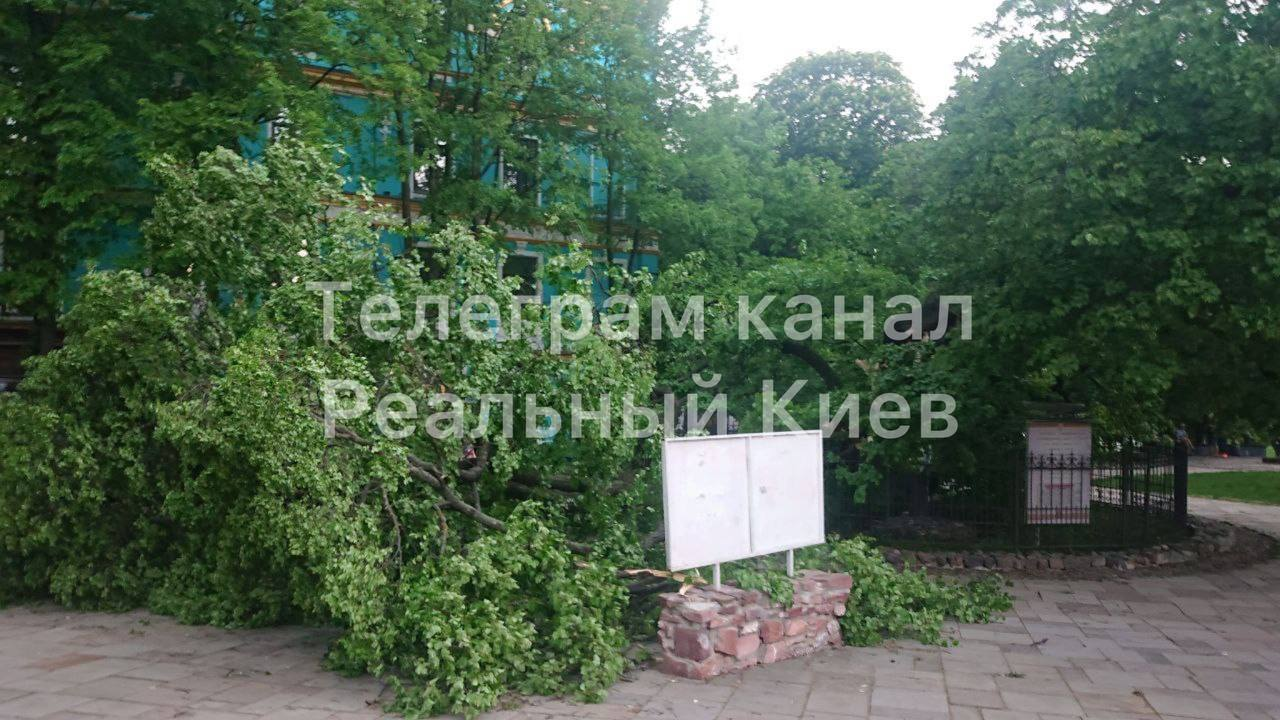 Из-за сильной грозы в Киеве и области пропал свет и повалились деревья.