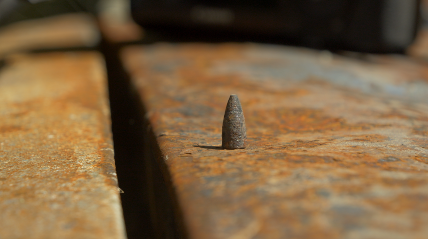 Куля, знайдена в машині Макса Левіна.