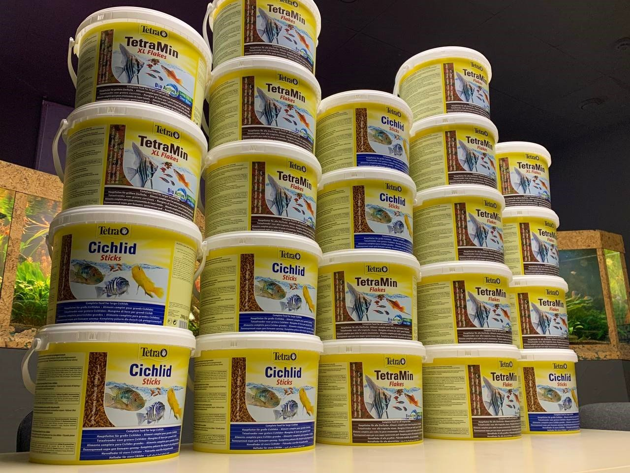 Жители Киева помогли собрать деньги на корм для рыб в Доме природы.