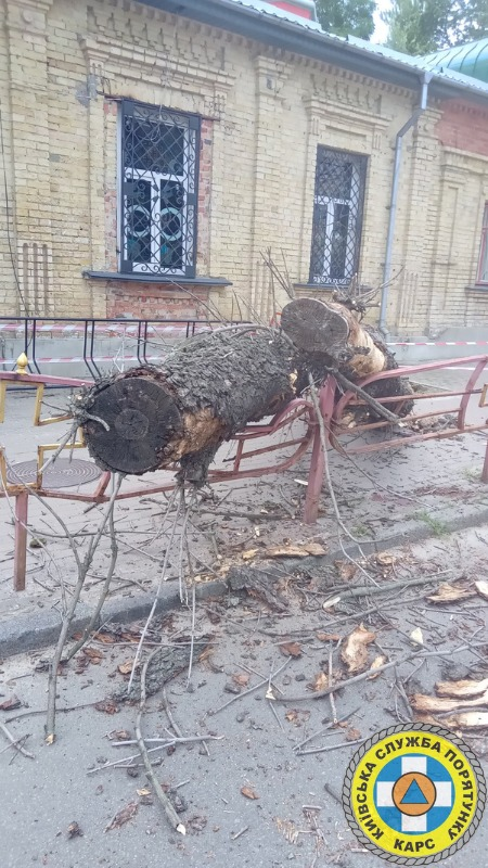 На Лук'янівці дерево впало на дівчину: деталі події.