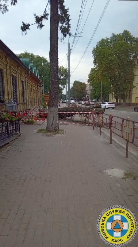 На Лук'янівці дерево впало на дівчину: деталі події.