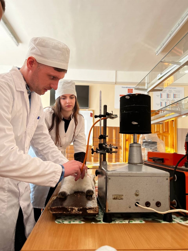 Фото эксперимента над кроликом в НУБиП.