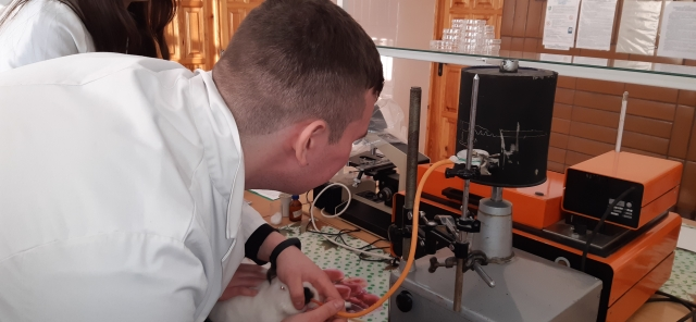 Фото эксперимента над кроликом в НУБиП.