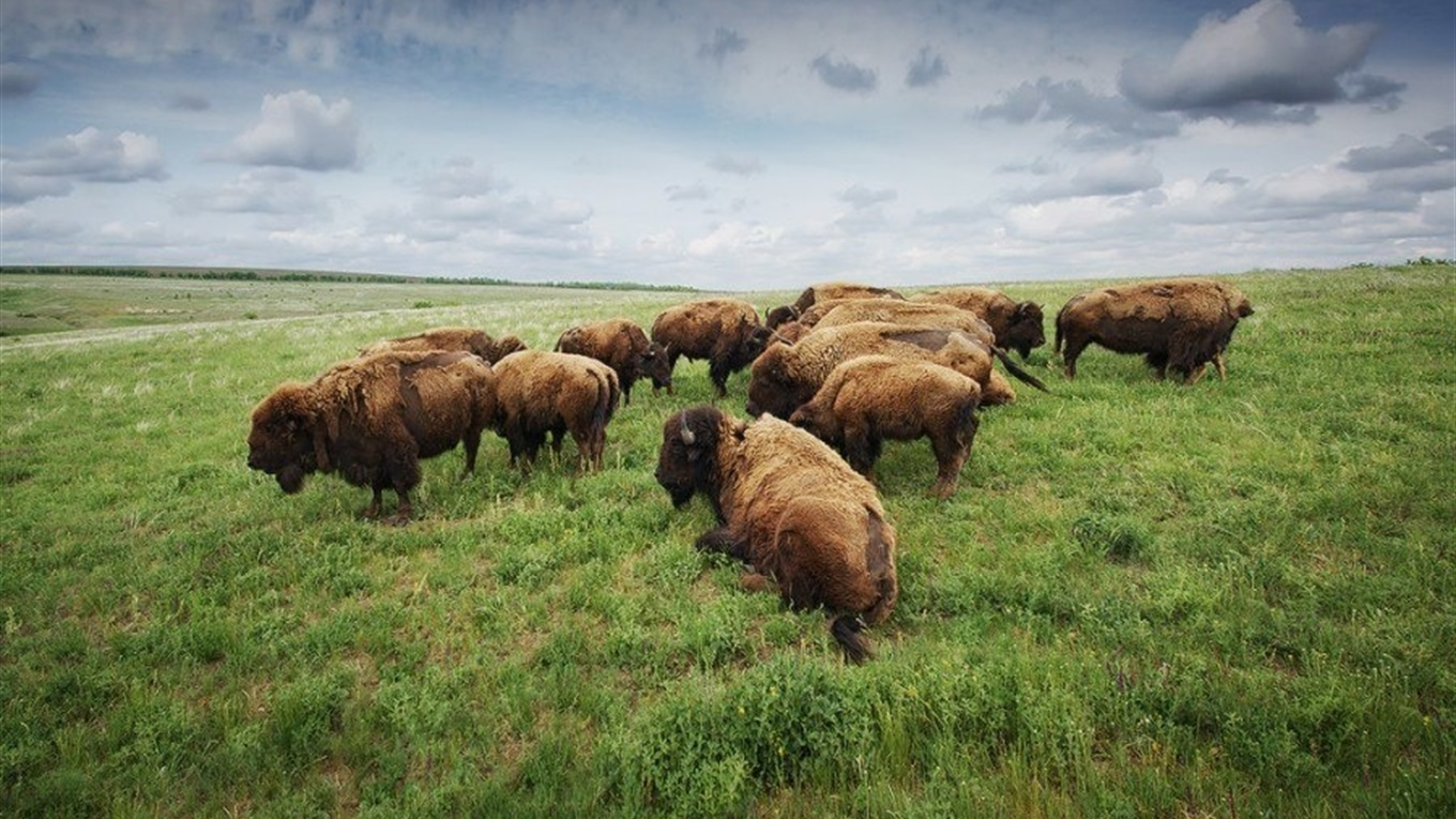Робота фотографа Дениса Кривого, який загинув під Бахмутом.