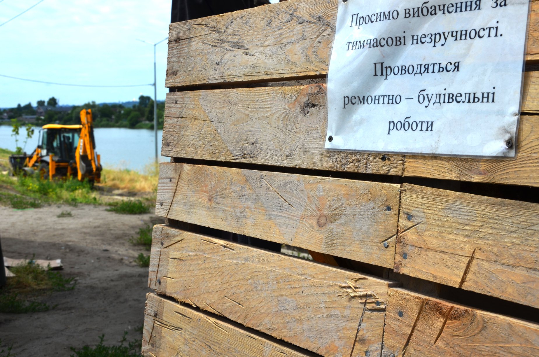 Фото: Киевзеленбуд