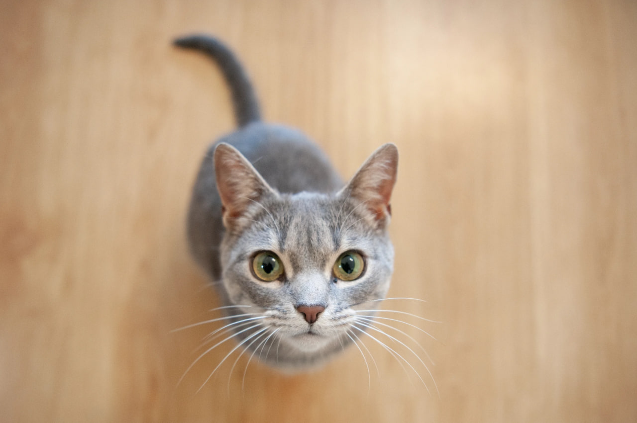 «Ситий старт» — квиток у нове життя