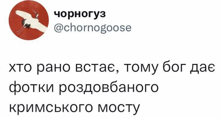 Як у Мережі жартують про вибух на Кримському мості: добірка мемов фото 22 21