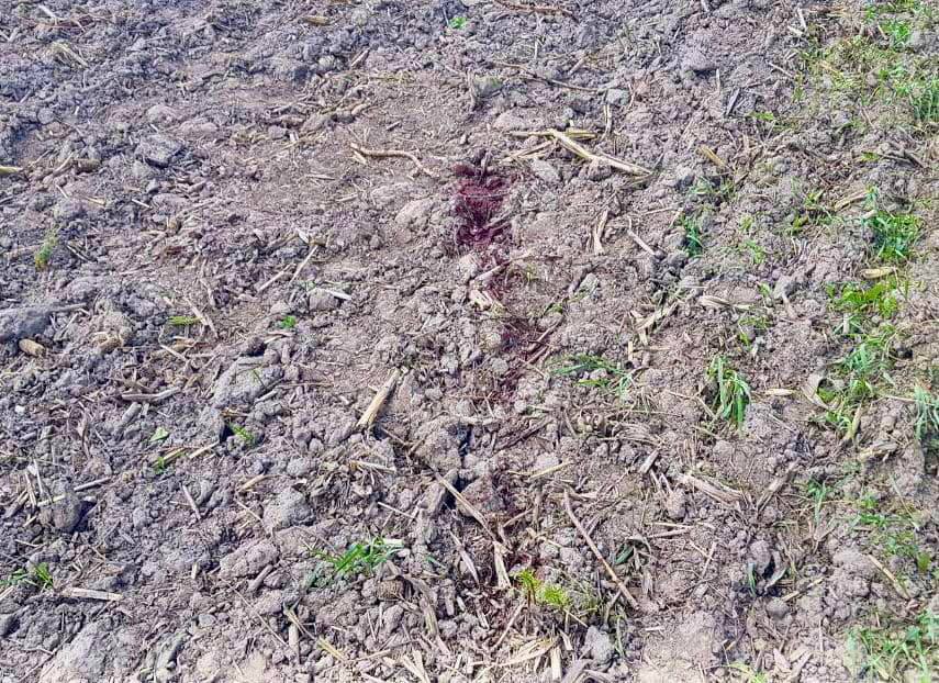 На Киевщине двое мужчин подорвались на мине