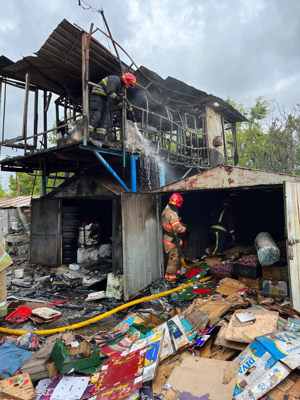 У Києві пожежники врятували від вогню сімох цуценят