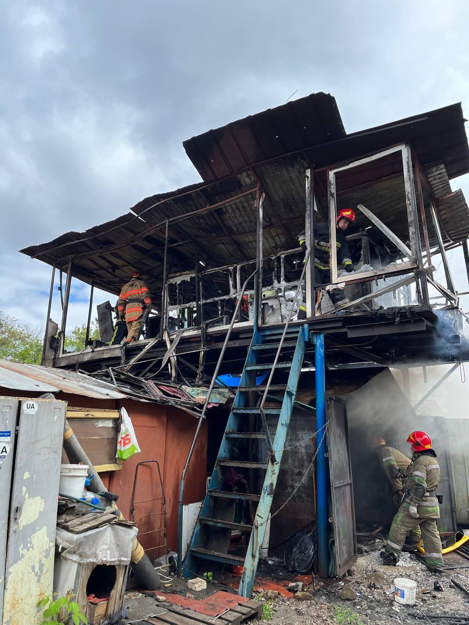 У Києві пожежники врятували від вогню сімох цуценят