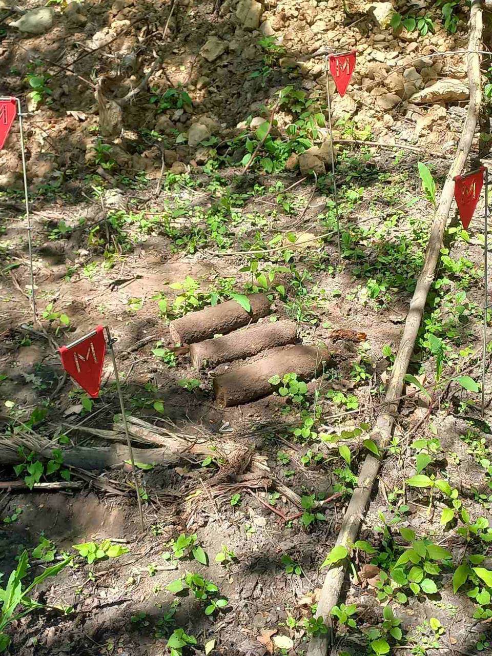 У ботсаду Гришка знайшли чотири снаряди