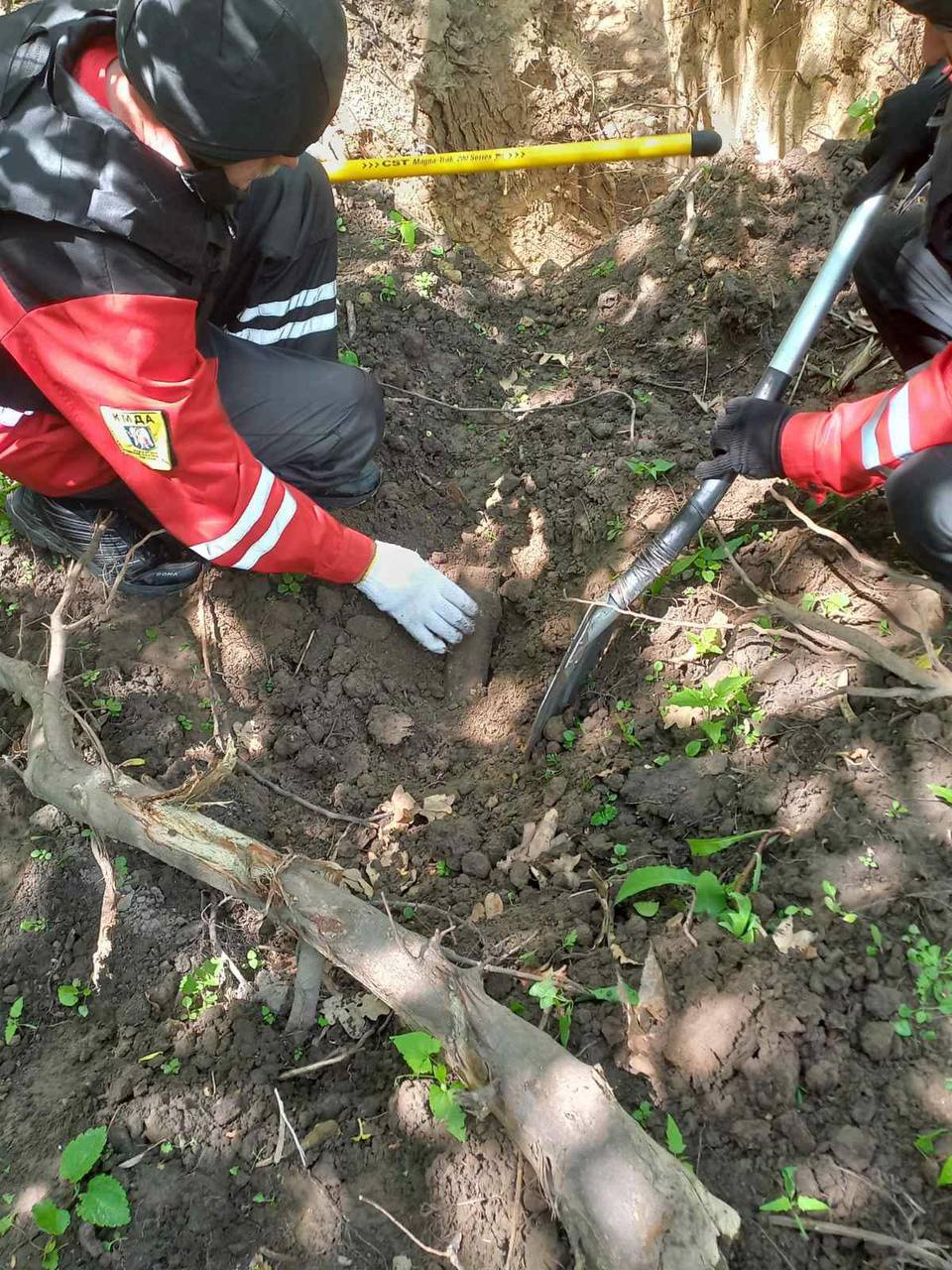 В ботсаду Гришко нашли четыре снаряда