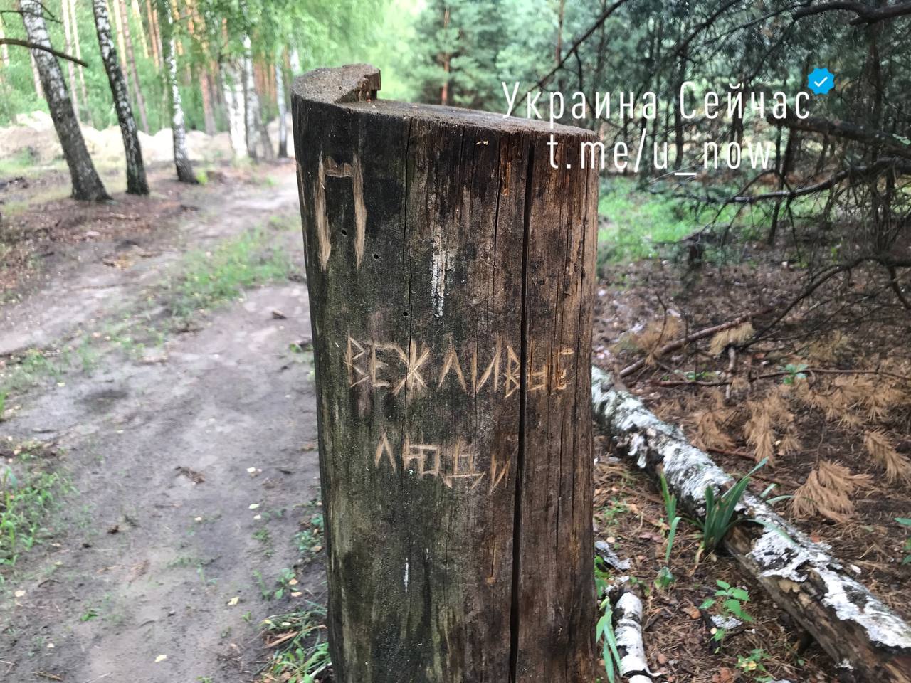 Як виглядають кинуті окупантами РФ позиції на Київщині &ndash; фото