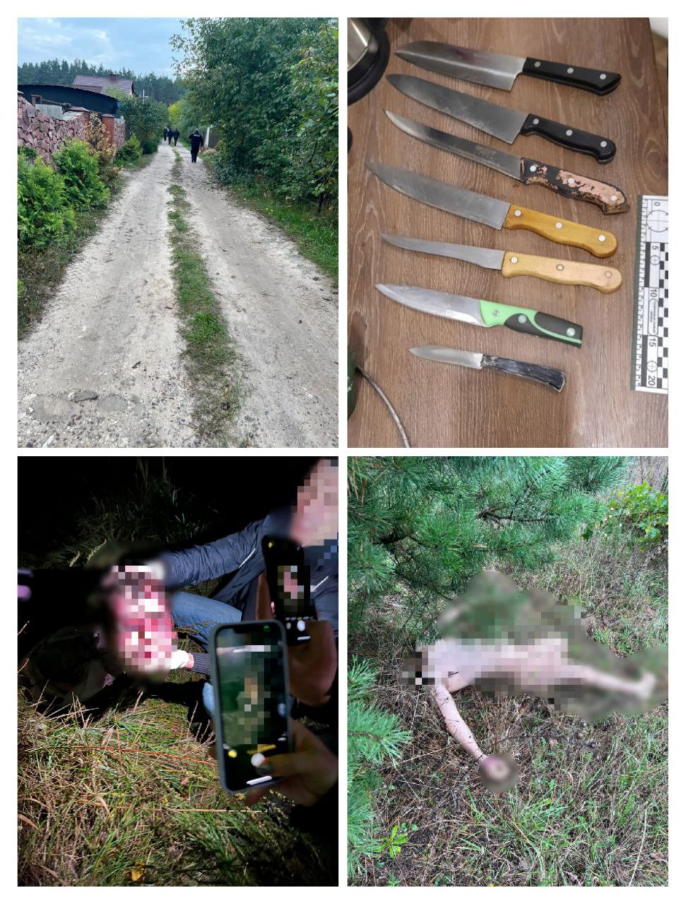 На Киевщине мужчина убил и расчленил собственного сына