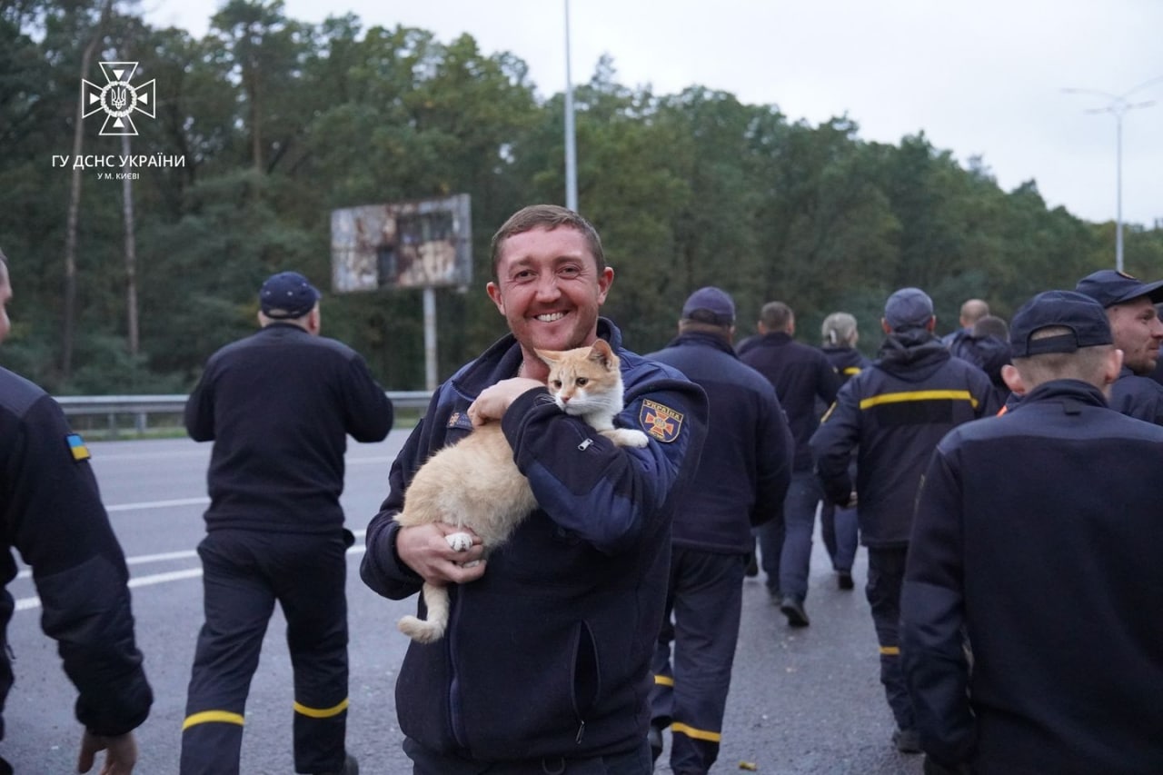 Рятувальник привез до Києва з Харківщини кота Ізюма