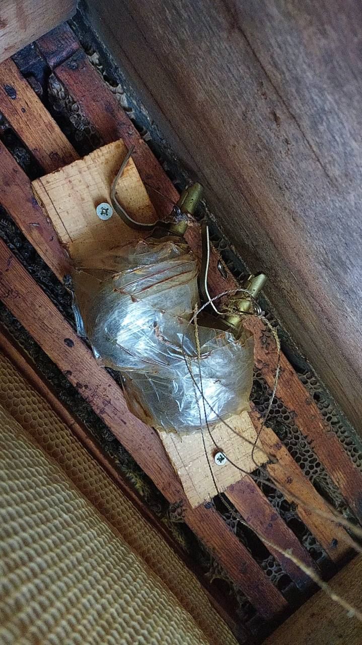 На Київщині окупанти замінували вулик