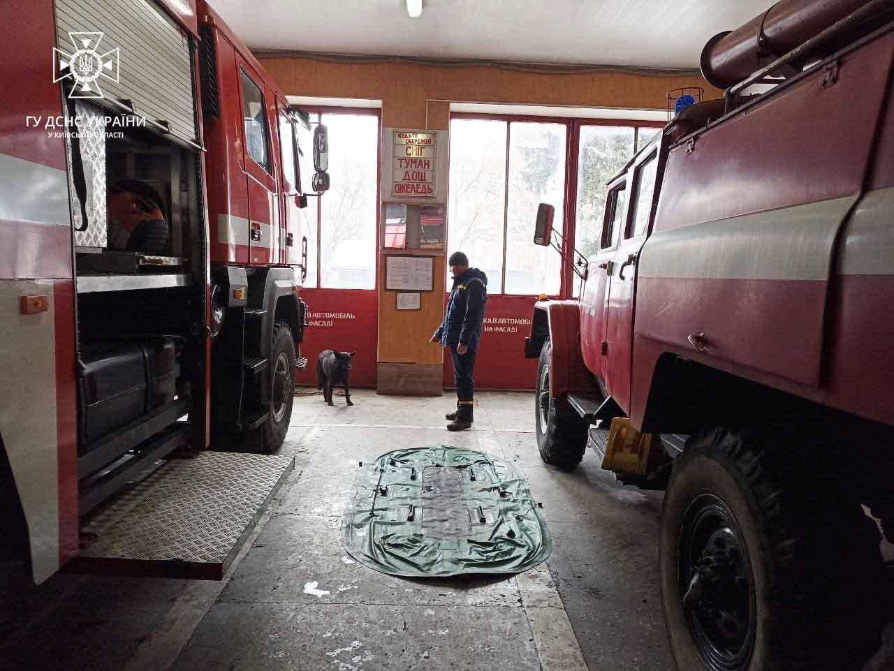 Столичні бійці ДСНС врятували з крижаної води та вогню двох песиків