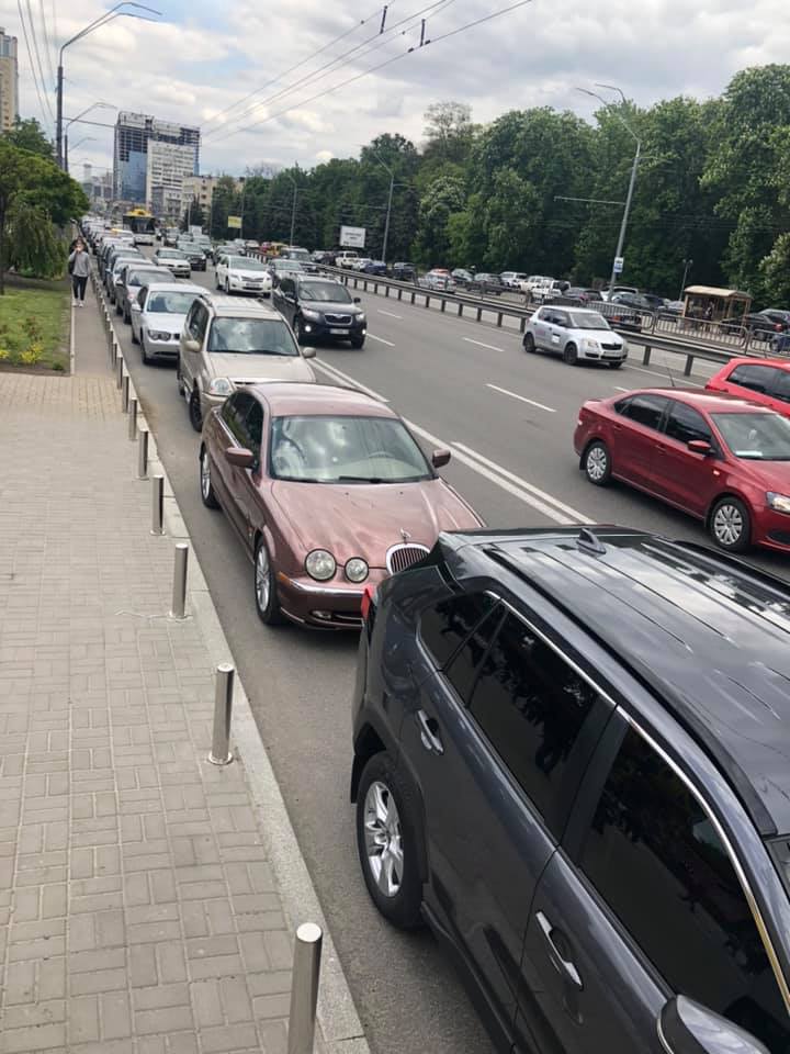 Фото: Darina Solodova