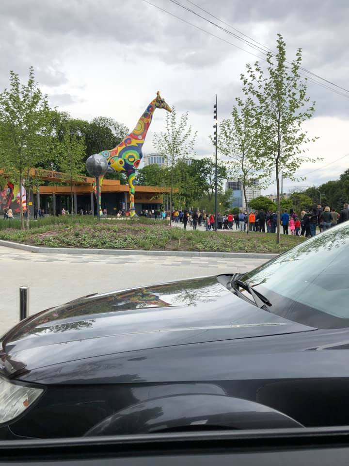 Фото: Роман Тугашев