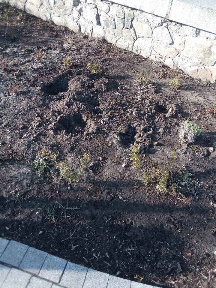 Фото: КП по СЗН Подольского района