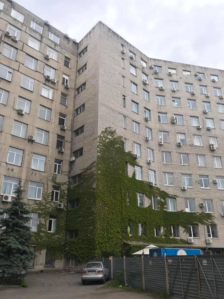 Виноград на стене дома на Куреневке. Фото: Pavlo Kaliuk