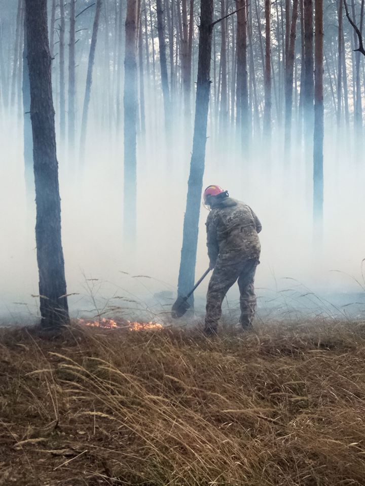 Фото: Национальный природный парк "Голосеевский"
