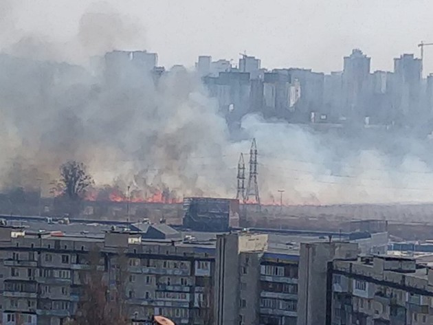 Фото: Татьяна Стародубцева