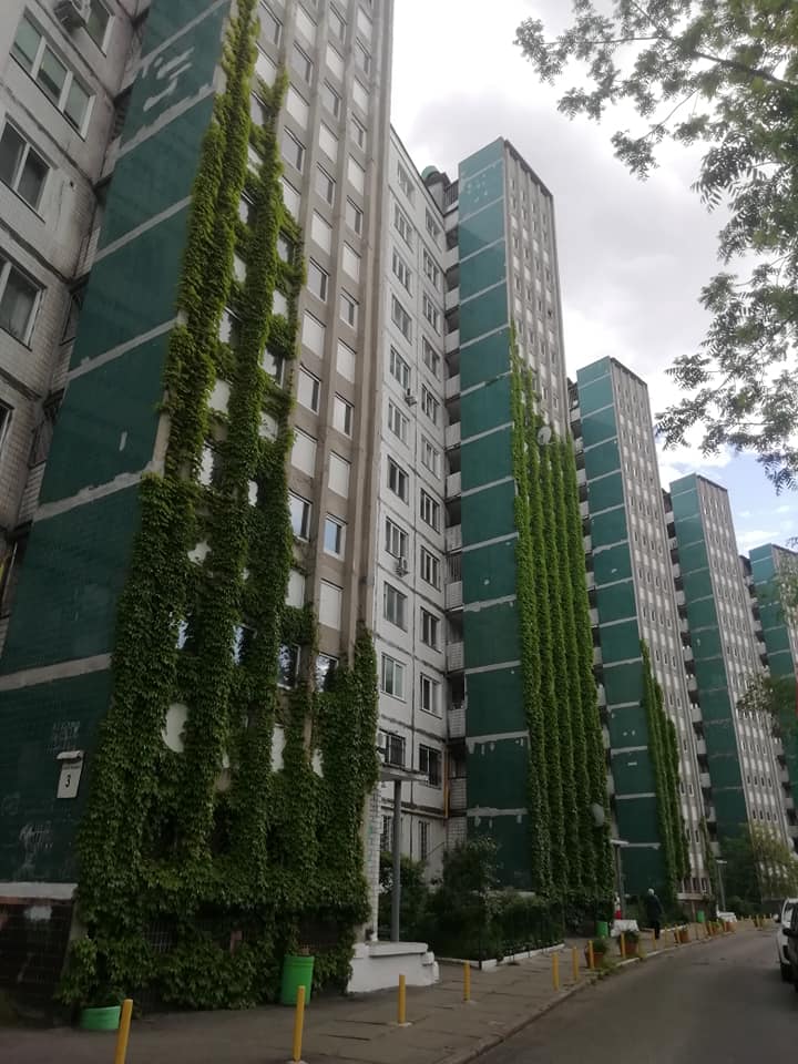 Фото: Центр альтернативного озеленения Киева