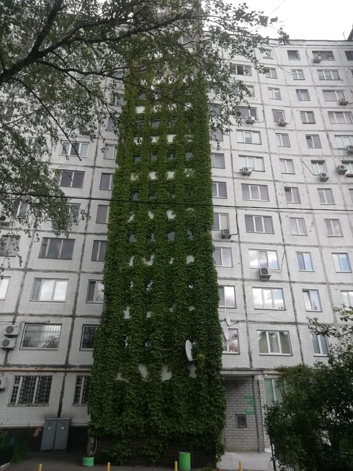 Фото: Центр альтернативного озеленения Киева 