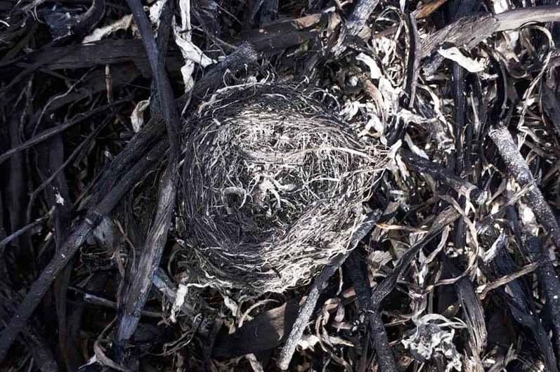 Придется потерпеть: когда в Киеве исчезнет смог фото 9 8