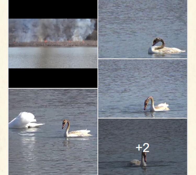 Придется потерпеть: когда в Киеве исчезнет смог фото 8 7